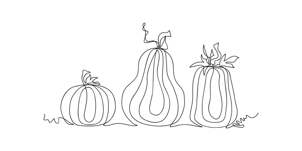 Bild: Natalyia Chernorot Pumpkins of different shapes drawn in one line isolated on white background. Sketch. Autumn. Thanksgiving day. Halloween. Contemporary art. Vector illustration.